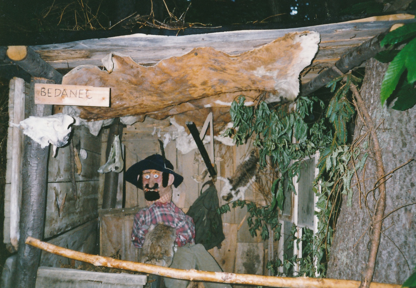 eika image